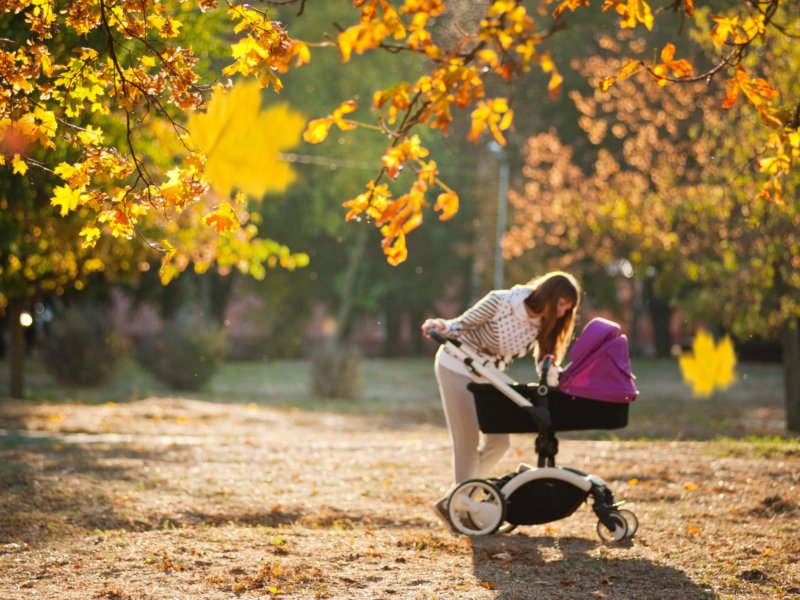 best travel buggy ireland