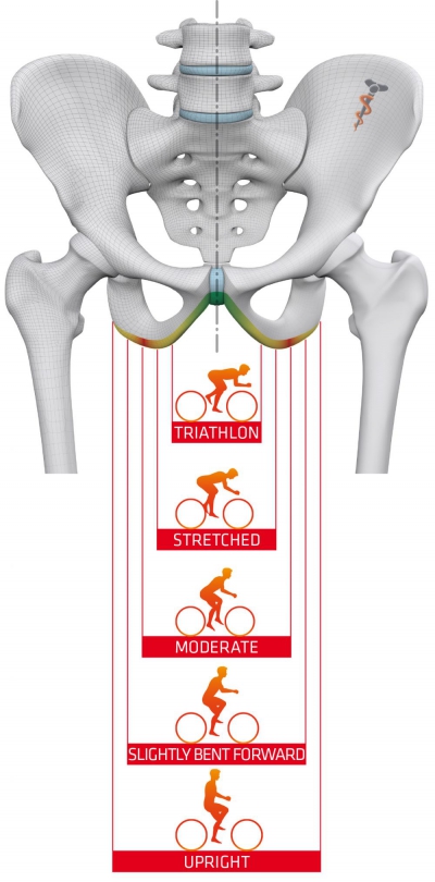 choosing the right saddle thumb_SQlab-Becken-Sitzpositionen-2015-US