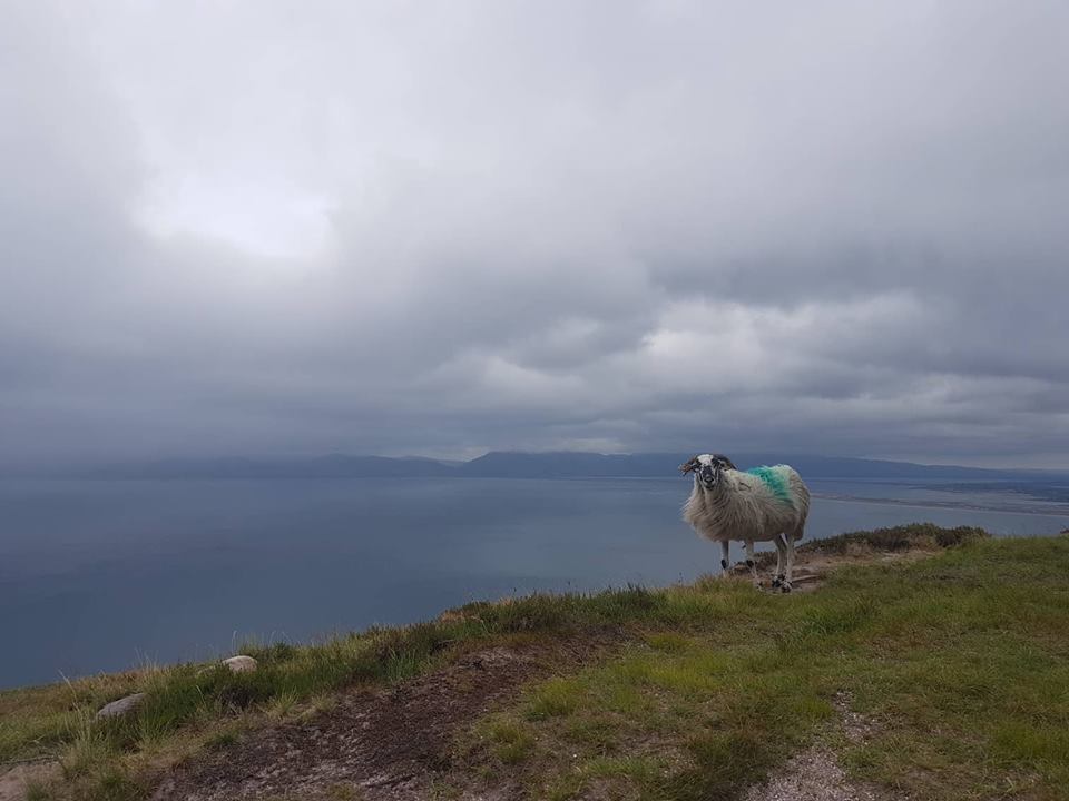 Running 600km ISPCA