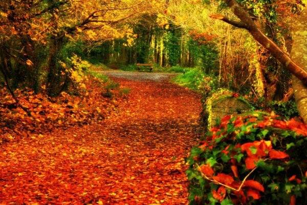 Buggy Friendly Walks in Ireland: 25 of the Best