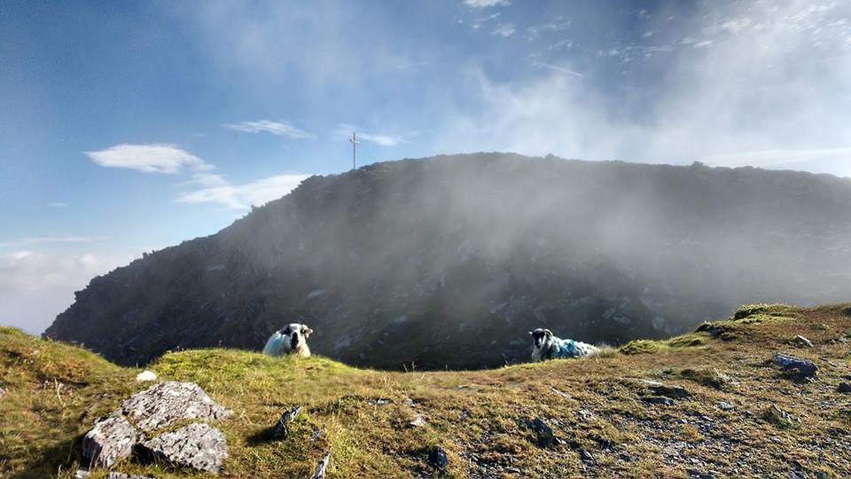 Waste on MacGillicuddy Reeks