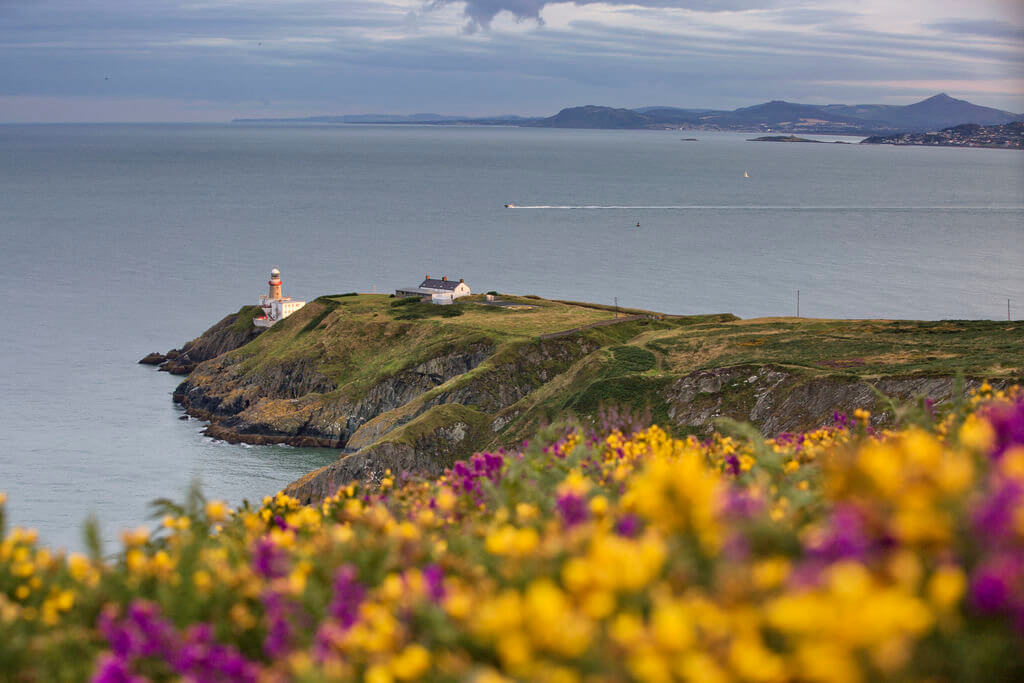 Trail Running Dublin