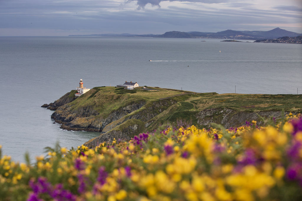 trail-running-routes-near-dublin-5-of-the-best-outsider-ie