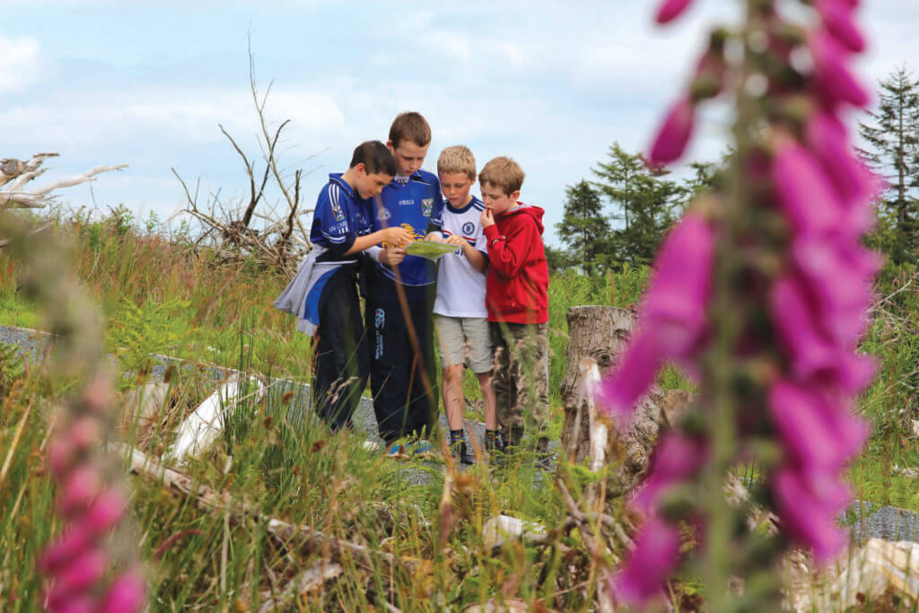 Family Friendly Looped Walks Ireland