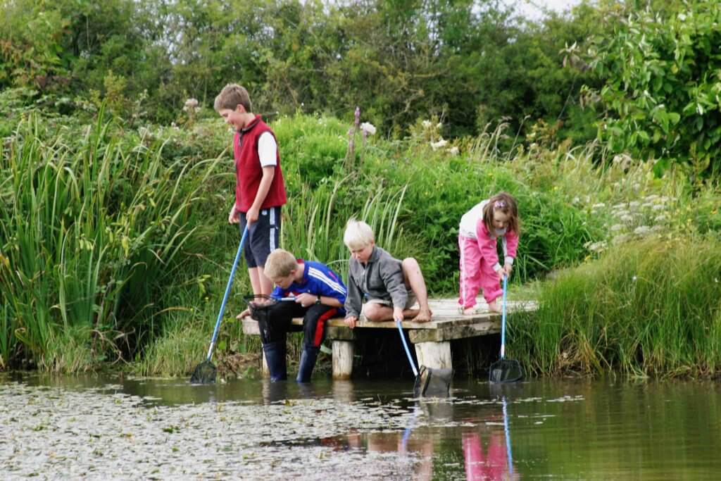 cabragh wetlands trust