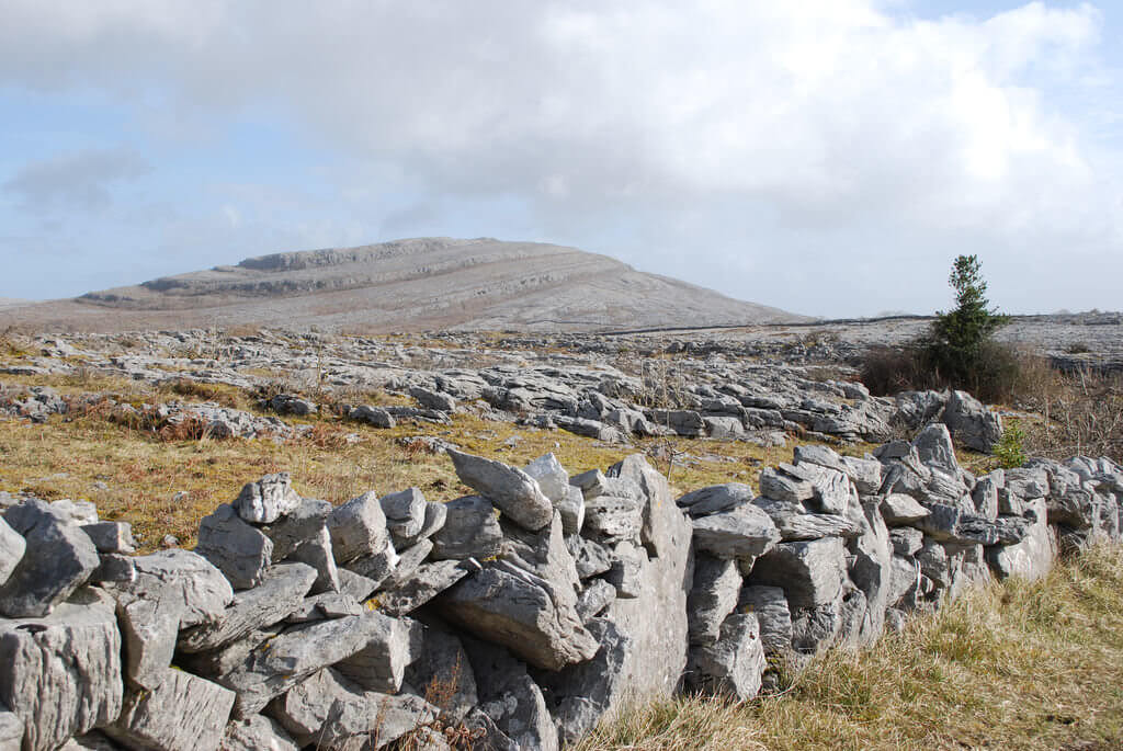 The burren