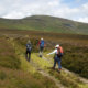 Carlow Walking Festival: Walking to Mt. Leinster