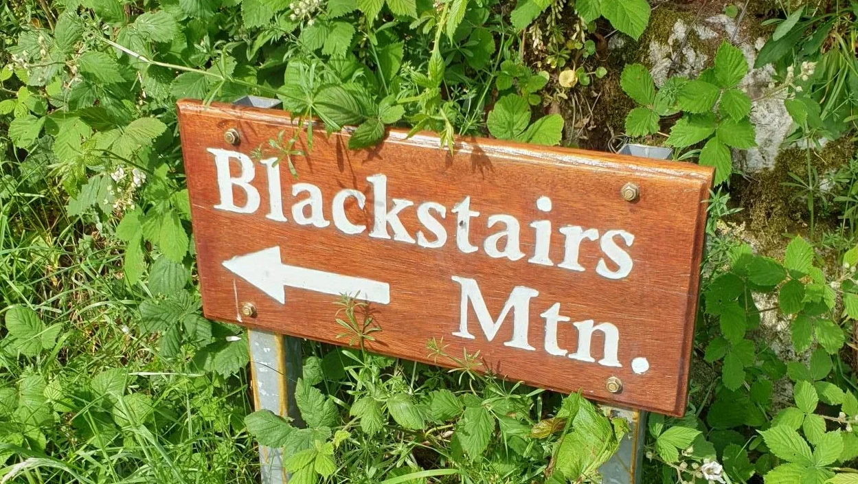 Black stairs mountain adventure County Carlow