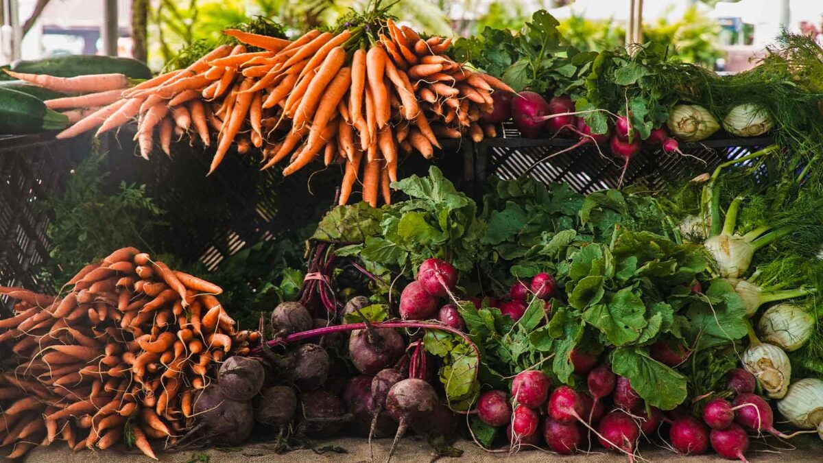 Carlow Farmers Market